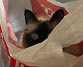 Muovikassi se on vaan aina yht&auml; j&auml;nn&auml; paikka