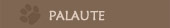 Palaute